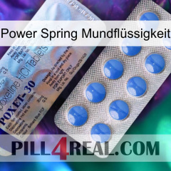 Power Spring Mundflüssigkeit 39